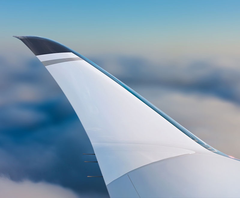 Luminary Jets Wing View
